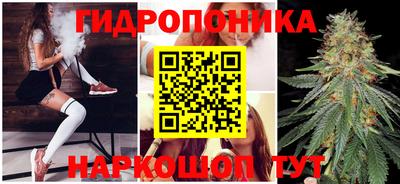 ГАЛЛЮЦИНОГЕННЫЕ ГРИБЫ Нальчик